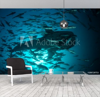 Picture of Whale Shark and fish school in Thailand 